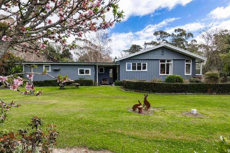 7611 State Highway 1 Ward_25