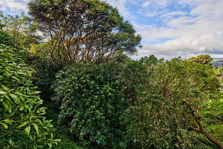 24c The Track Plimmerton_9