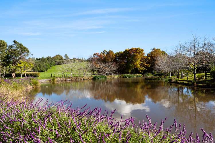 97 Sharp Road Matakana_43