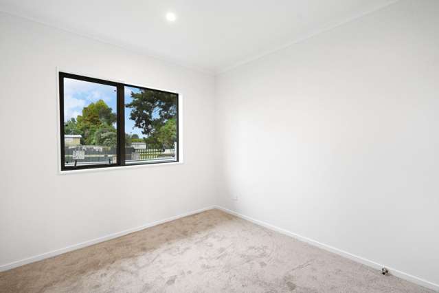 55a Mount View Road 1107_3