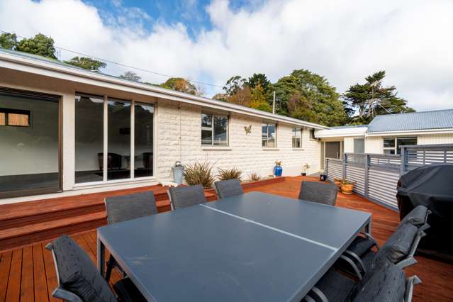 1a Everton Road Andersons Bay_4