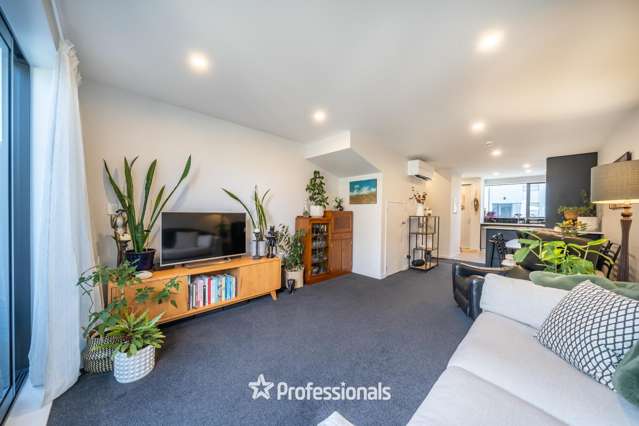 16 Te Ara O Ripeka Wharawhara Petone_1