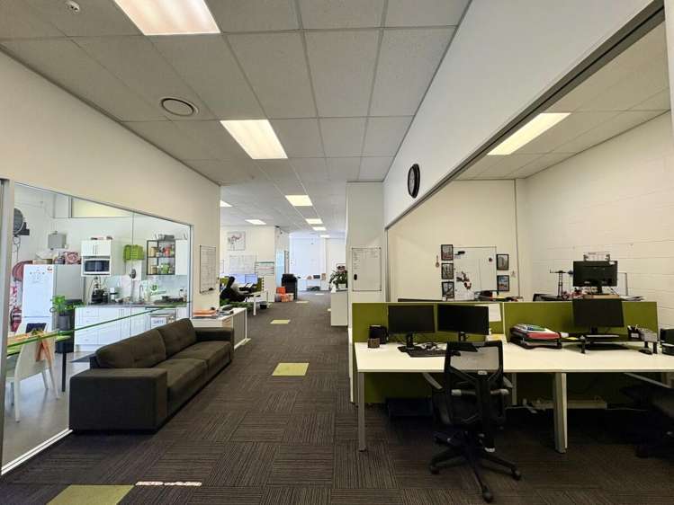 22 Marsh Street Tauranga_5