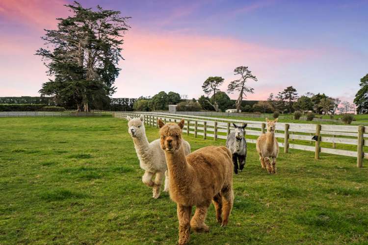 99c Seagrove Road Waiau Pa_19