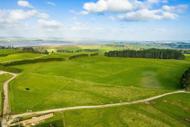 2611 Pouto Road Te Kopuru_9