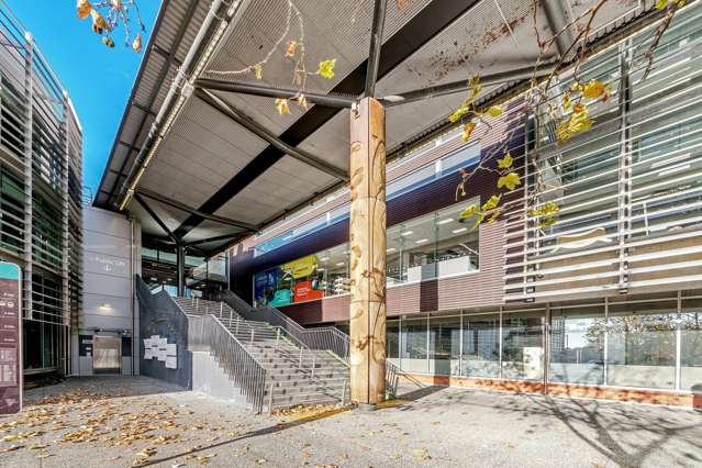 3 Smythe Road Henderson_3
