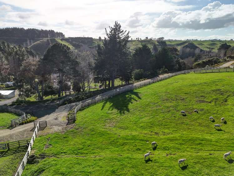 Holmwood Road_5