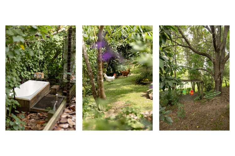 20 Emmerdale Place Ohauiti_5