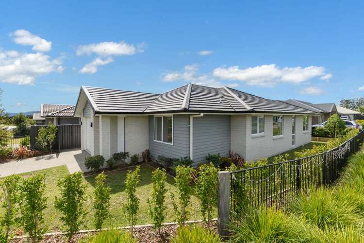 4 Pioneer Crescent Omokoroa_17