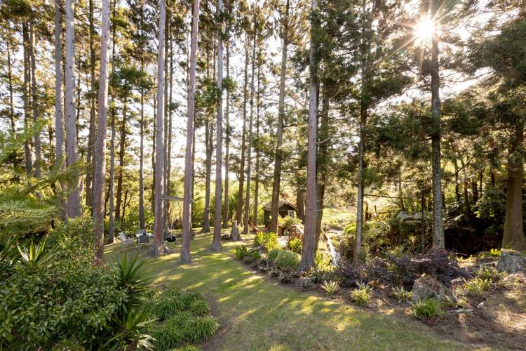 115 Ngatitangata Road Waihi_28