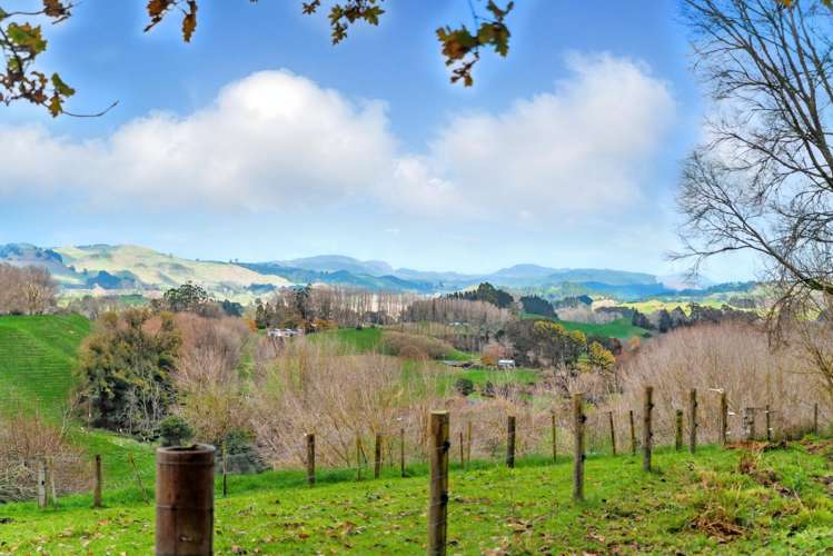 1001 Whirinaki Valley Road Ngakuru_21