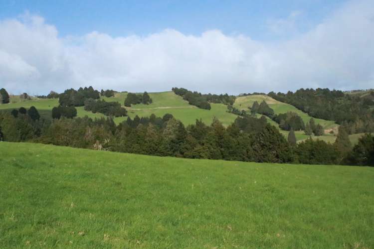 Lot 5 Pungaere Road Kerikeri_14