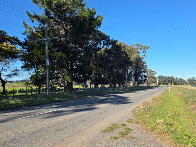 Kahutara Road Martinborough_5