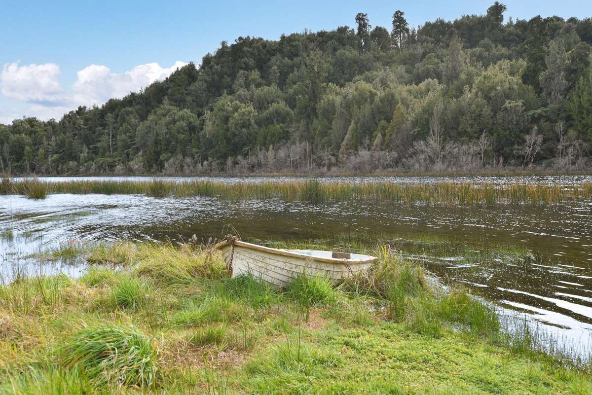 Rotoma 33 State Highway 30 | Lake Rotoma | Rotorua | Houses for Sale - OneRoof