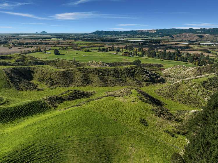 15 Seccombe Road Te Teko_21