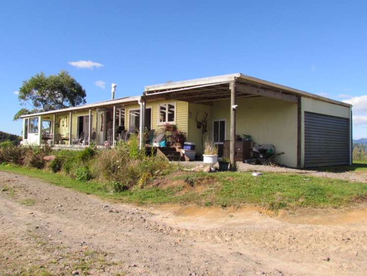 173 Luttrell Road Murupara Surrounds_11