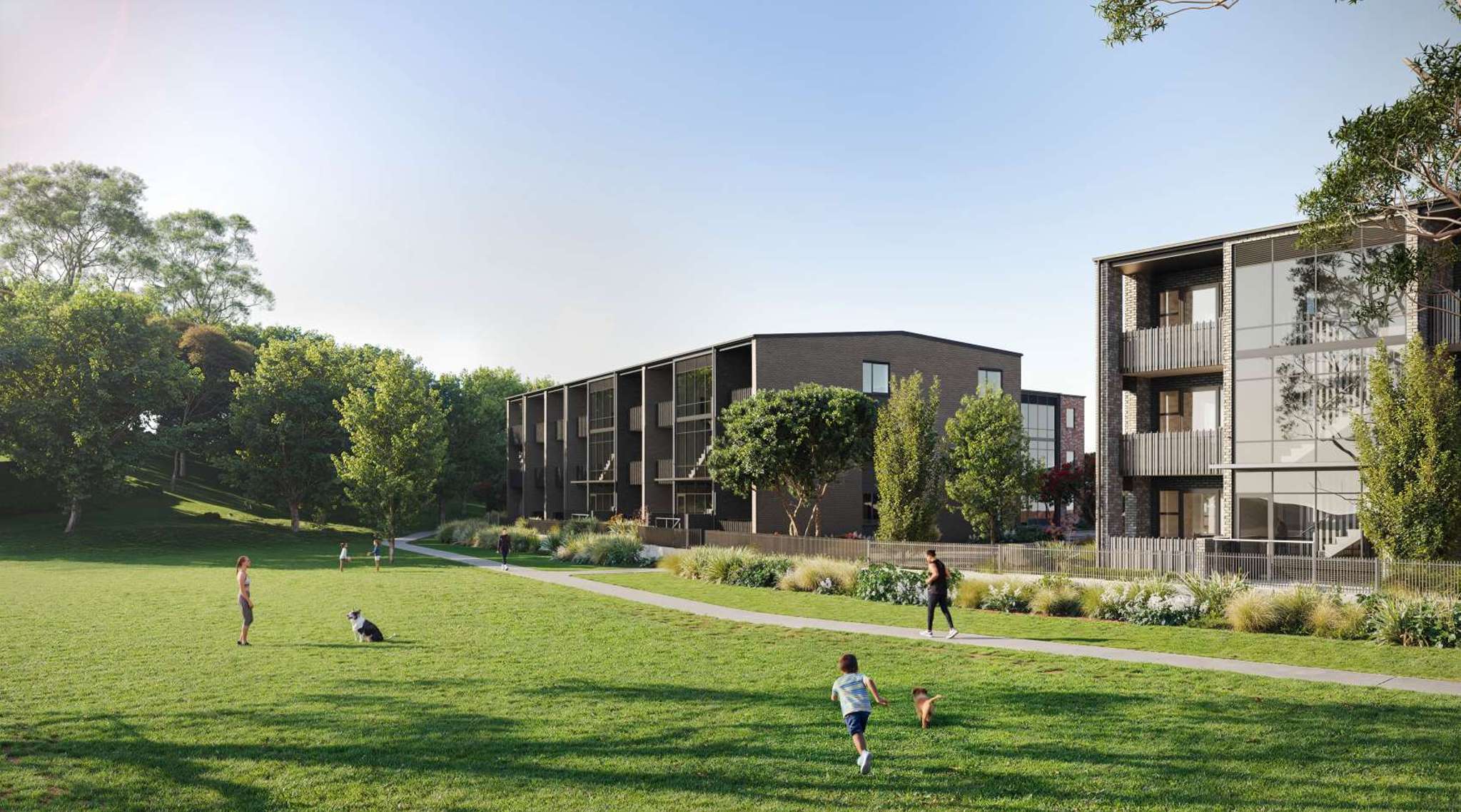 Halberg Green apartments bring park-side living to Mount Albert