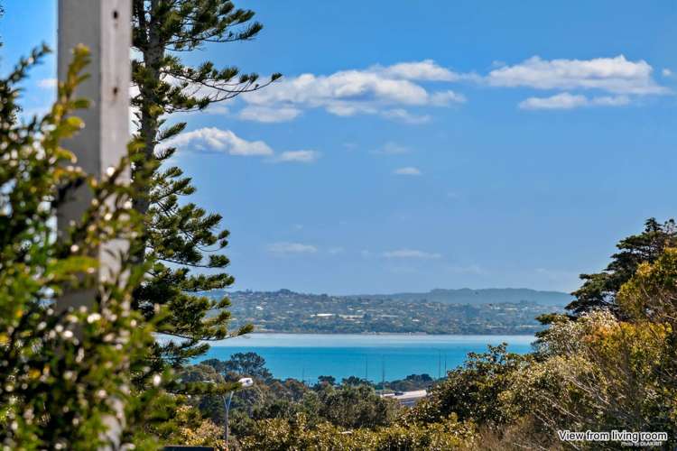 172 Carrington Road_2