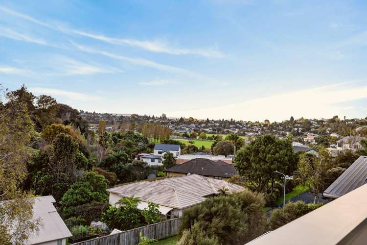 56 Little John Drive Bellevue_34