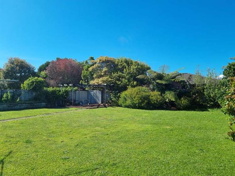 36d Shelter Grove 2157_2