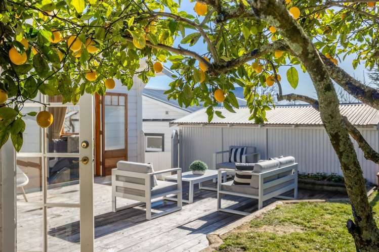 11 King Street Nelson City_17