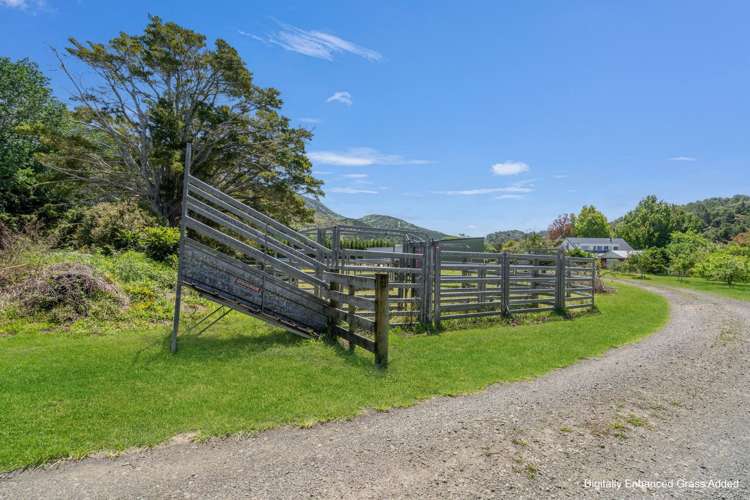 710 Sommerville Road Tangowahine_26