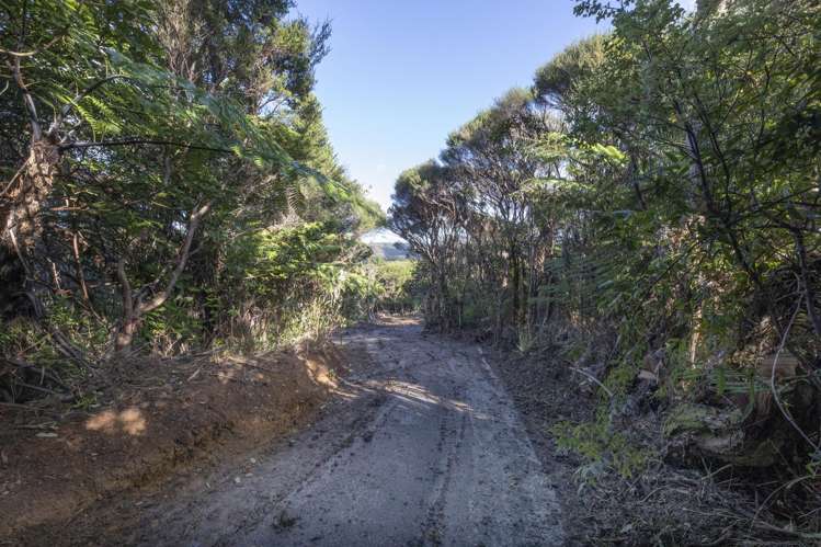 14 La Trobe Track Karekare_10