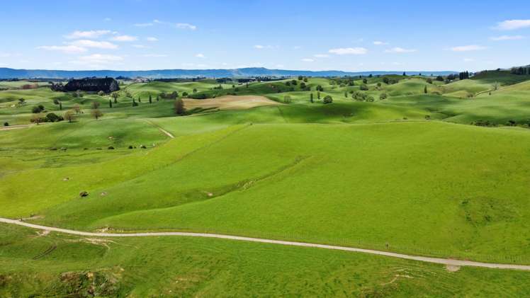 258 Paratu West Road Richmond Downs_18