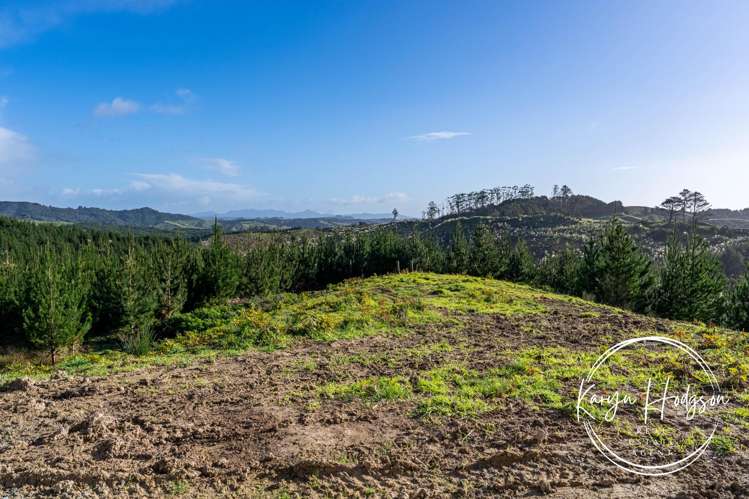 367 Arcadia Road Paparoa_38