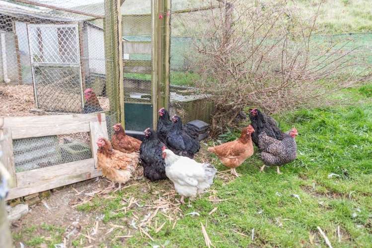 158 Quail Road Kaukapakapa_14