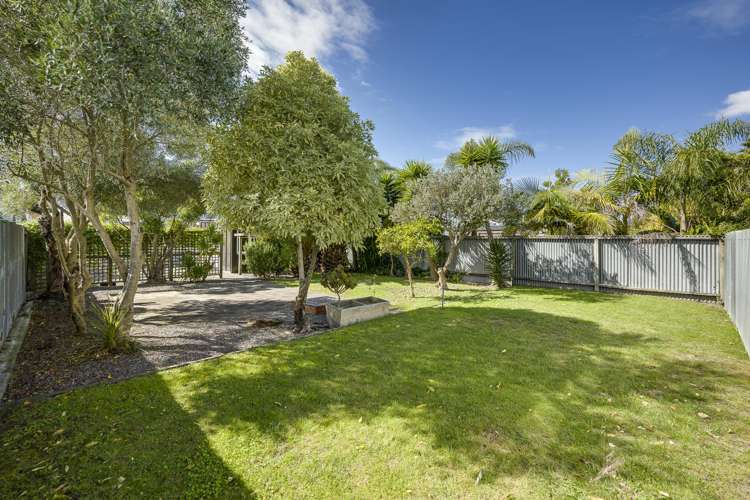 98 Vigor Brown Street Napier South_16