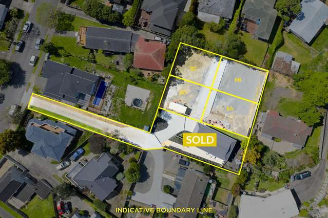 Buy 1, 2 3 or 4 lots - you choose