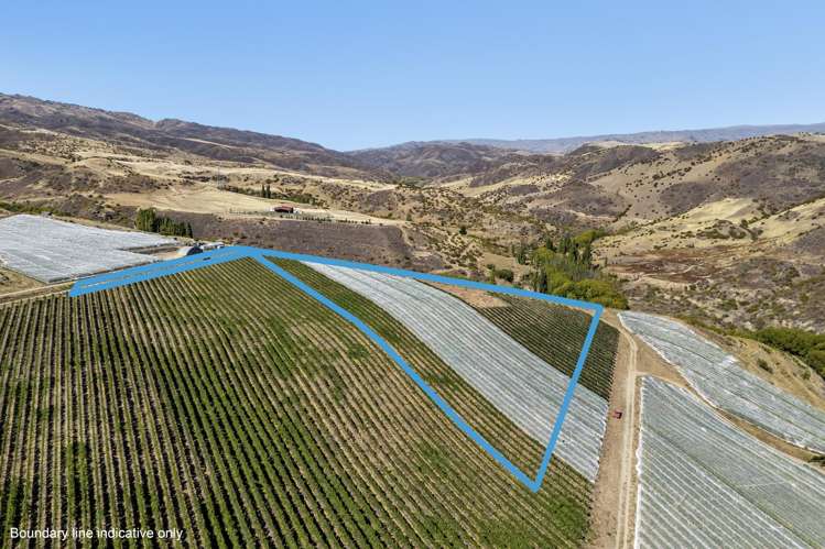 98c Paterson Road Nevis_8