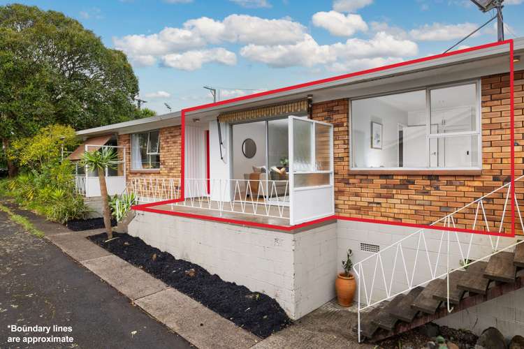 2/2 Peary Road Mount Eden_15