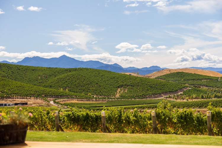 193 Wrekin Road Fairhall Marlborough Rural Property For Sale