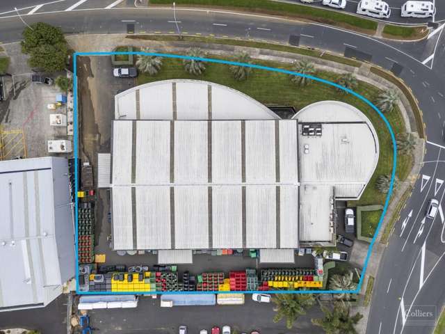 59 Montgomerie Road Mangere_1