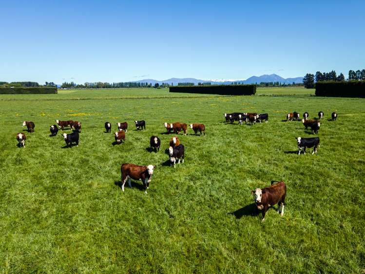 614 Winslow Road Hinds_0