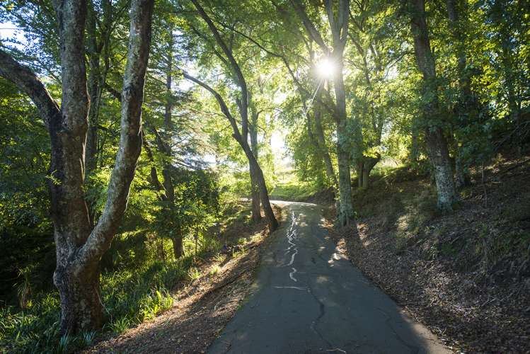 250 Valley Road Mangapapa_15