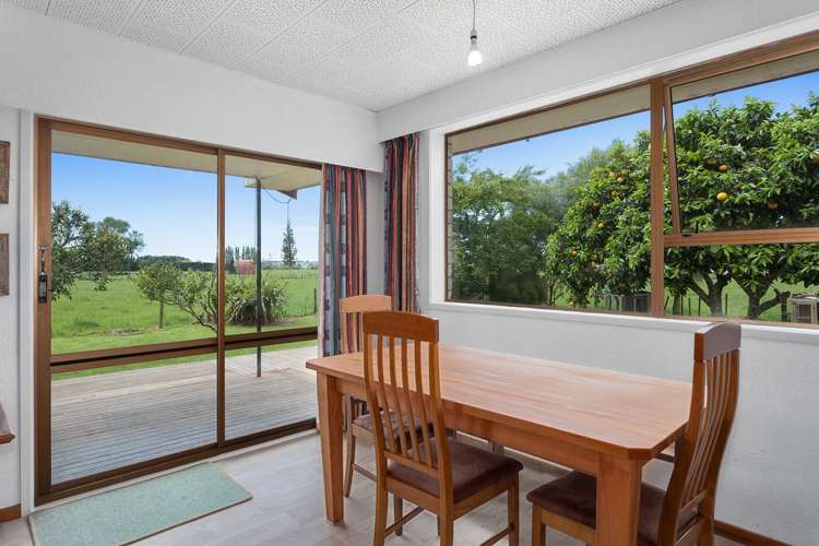 567 Otara Road Opotiki Coastal_5