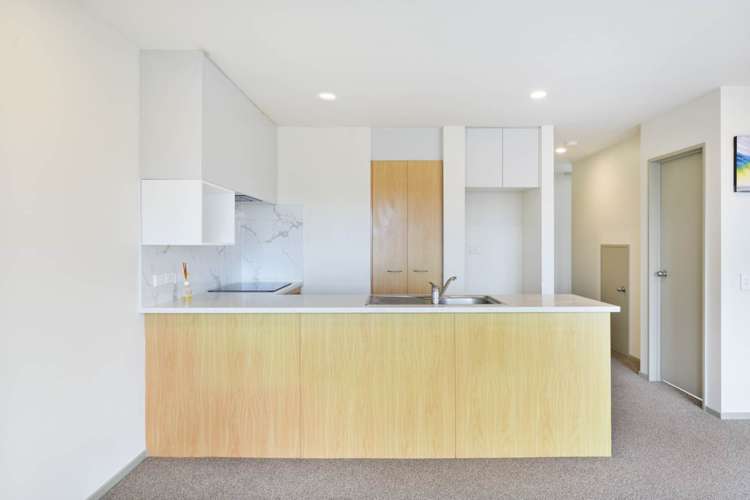 12/17 Georgia Terrace Albany_5