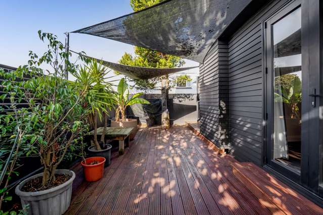 16 Weymouth Street New Plymouth Central_1