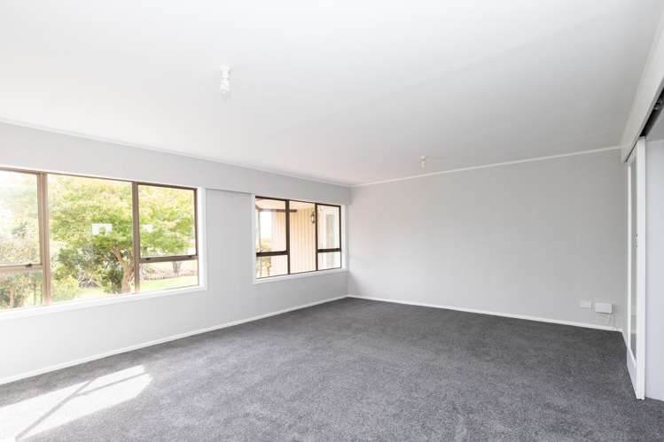 18 Orchard East Road Ngatea_6