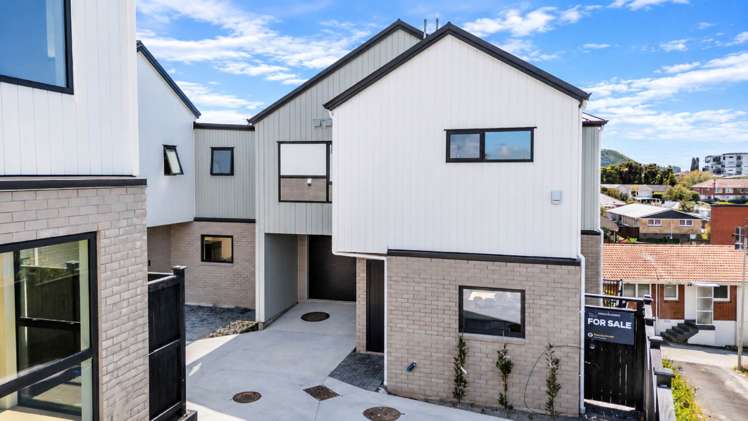 6/67 Hamlin Road_2
