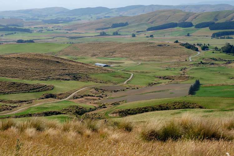 623 Slopedown Road Catlins Surrounds_24