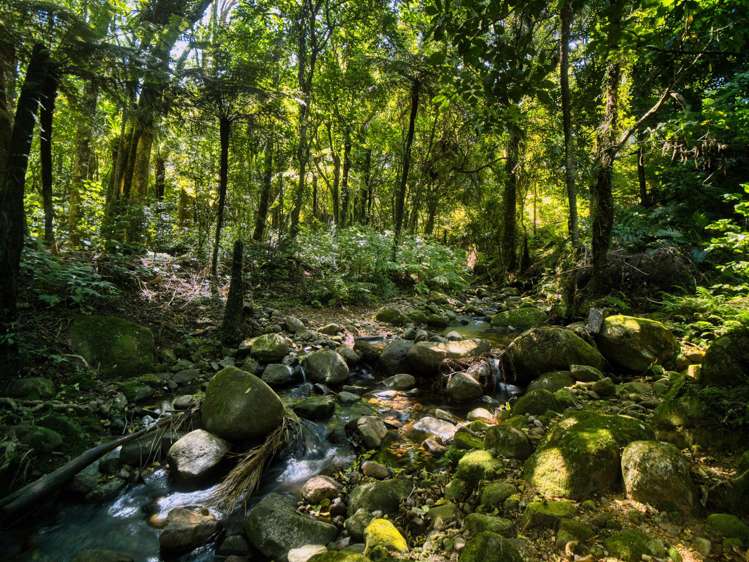 348D Rea Road Katikati_32