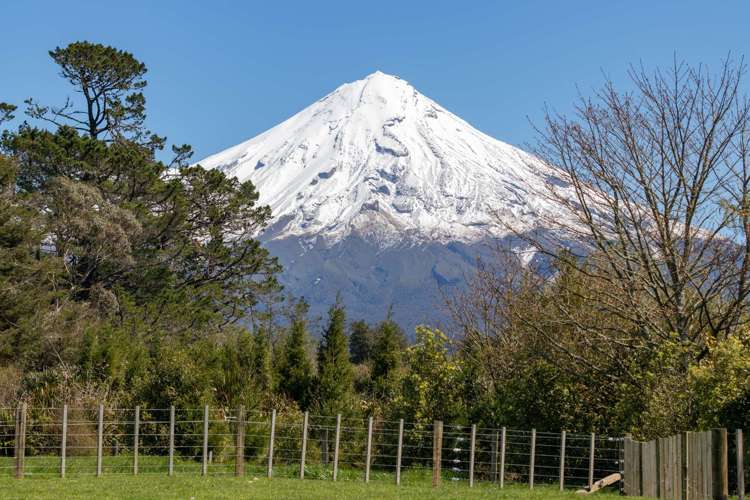 348 Denbigh Road Midhirst_16