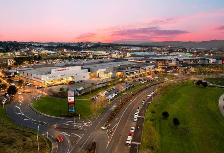 501E Rose Garden Lane 10862_12