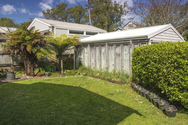 57 Peary Road Mount Eden_5