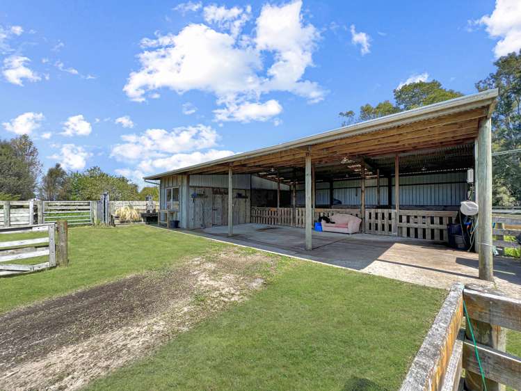 97f Poplar Lane Edgecumbe_11