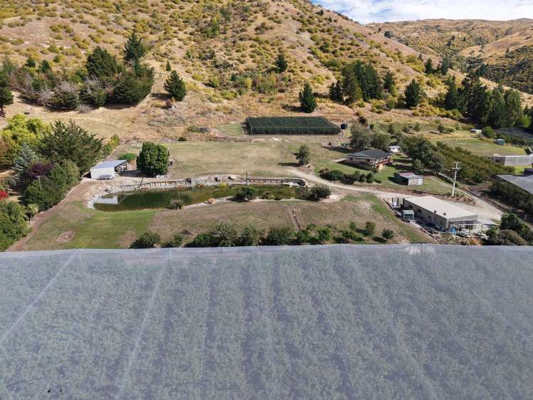 260 Ripponvale Road Cromwell_21